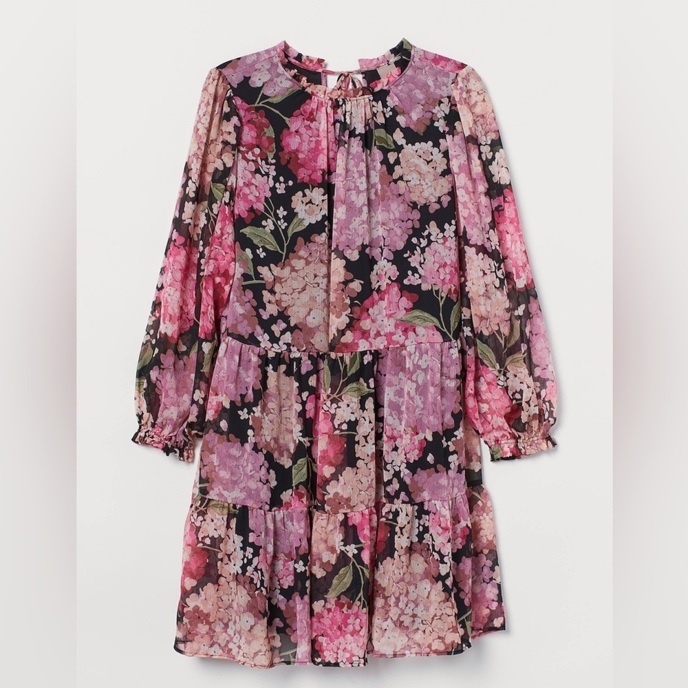 H&M+ CRÊPED CHIFFON DRESS Dark Floral Whimsigoth Babydoll Sz M